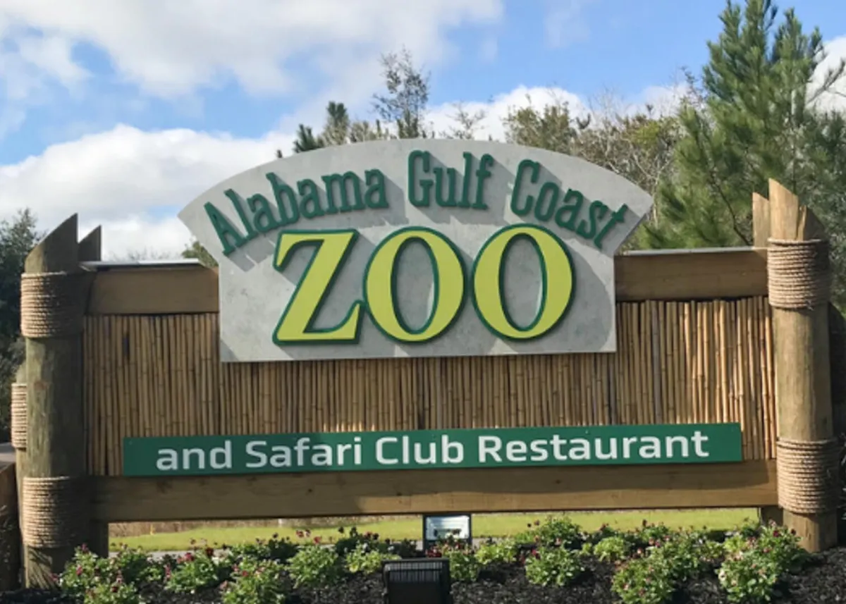 This image captures the entrance sign for the Alabama Gulf Coast Zoo, flanked by the Safari Club Restaurant sign and landscaped with colorful flowers at the base. Wooden posts wrapped with rope frame the signage, creating a welcoming and adventurous vibe.